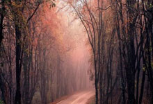 PG电子游戏官网:十人美因茨-弗赖堡,卡奇两助攻,库布勒扳平比分.