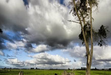 PG电子游戏官网:11个前场篮板!杜伯超16+15大号两双,一数据创本土新纪录.