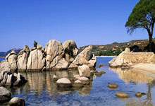 亚历山大25+7雷霆击败热火 豪取NBA常规赛7连胜央视网.